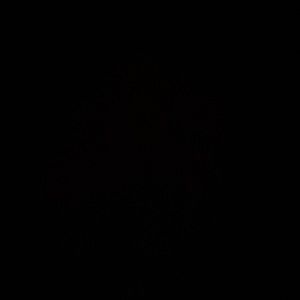 Meet your Posher, Lydia